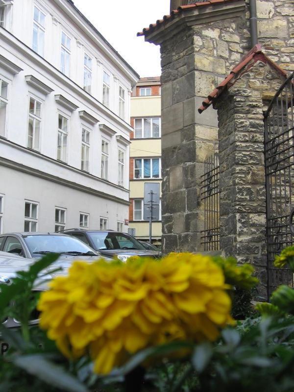 Ragtime Hostel Prague Luaran gambar
